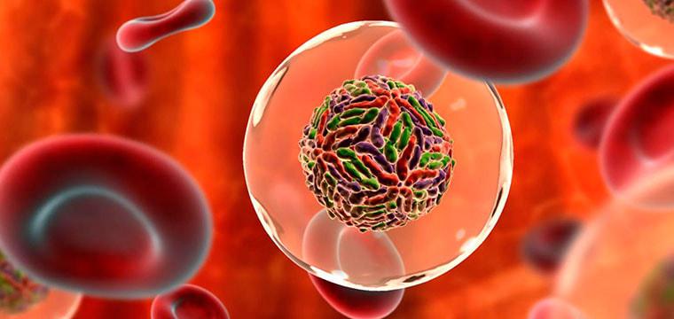 Гепатит С может полностью исчезнуть до 2030 года
