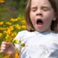 респираторная аллергия у детей