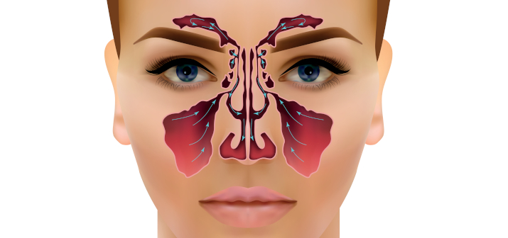 Пазухи Пазухи