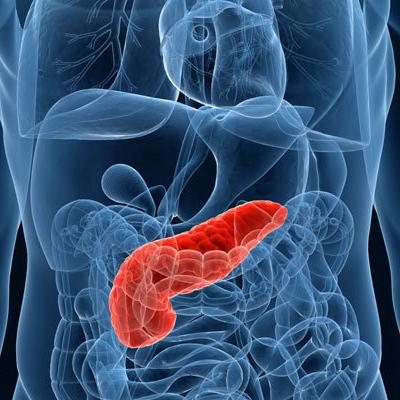 Заболевания поджелудочной железы: особенности болезней органа брюшной полости