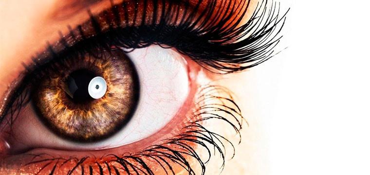 Японские ученые вырастили сетчатку глаза из стволовых клеток